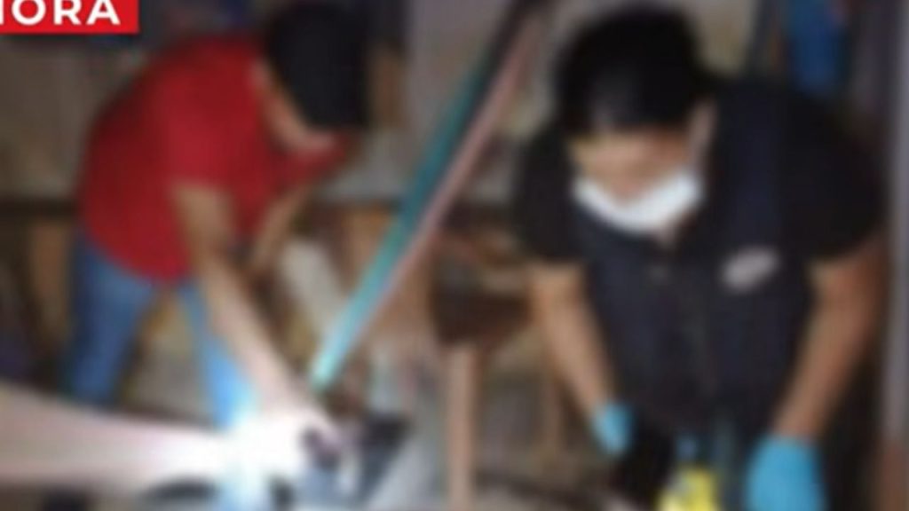 Imagen de cuerpo de nota