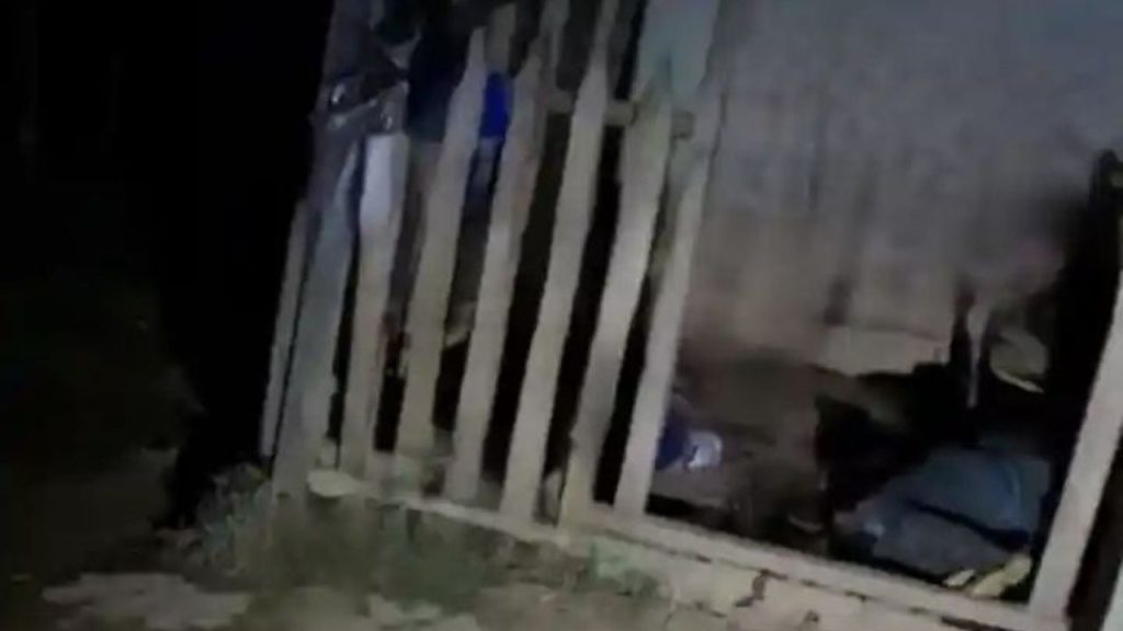 Imagen de cuerpo de nota