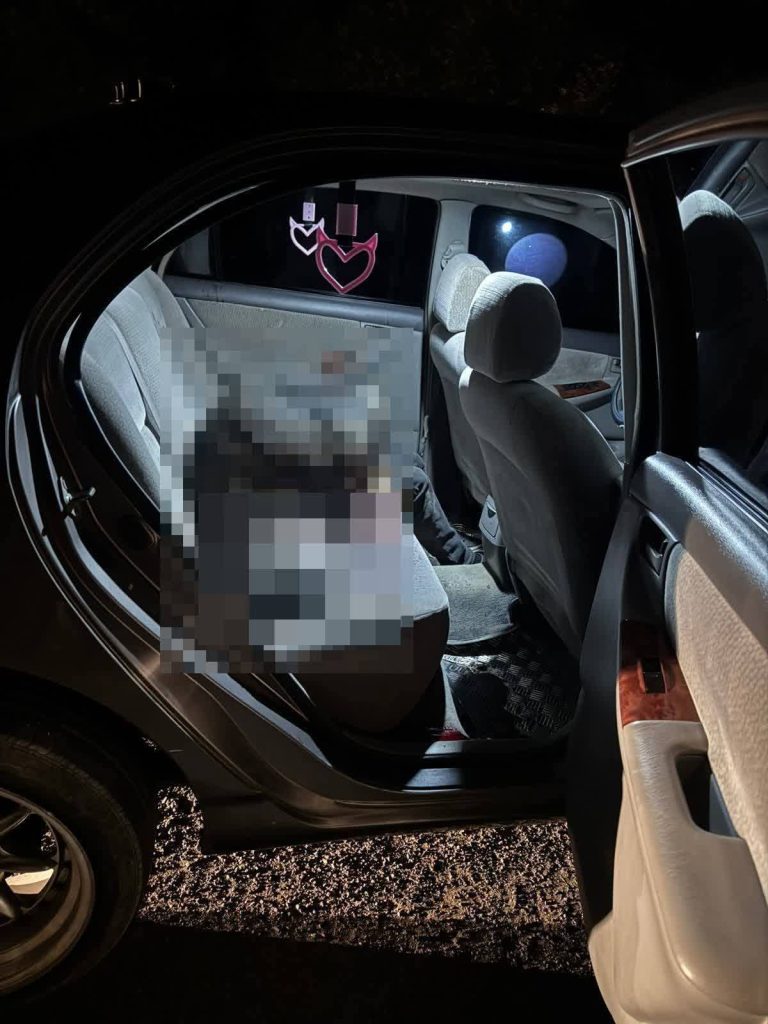 Imagen de cuerpo de nota