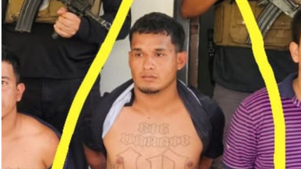 Imagen de cuerpo de nota