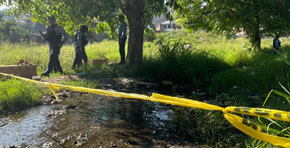 Imagen de cuerpo de nota