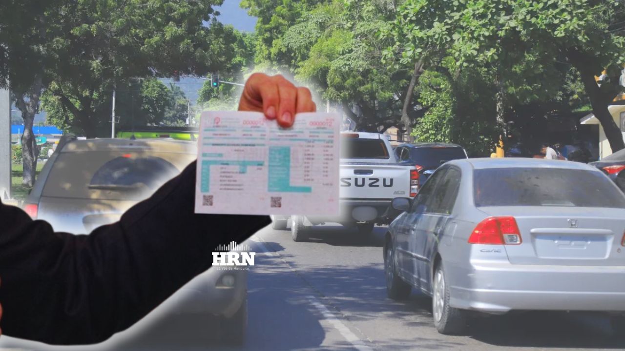 Imagen de Pasos para obtenerla: IP pone a disposición la boleta de revisión digital