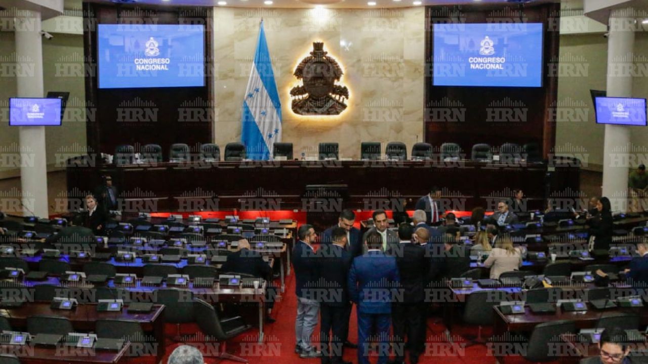 Imagen de ¿Quiénes pueden postularse para el CNE y TJE? Detallan requisitos y surgen nombres