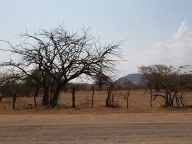 Imagen de ¿Cuándo llegaría fenómeno de El Niño a Honduras? Advierten de temperaturas más altas