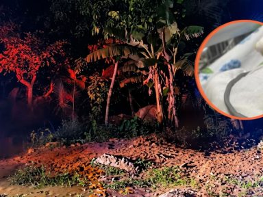 Imagen de Joven de 17 años lucha por su vida tras ser apuñalada por su expareja en Catacamas