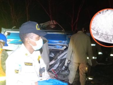 Imagen de Cianuro: cómo actúa y por qué representa un riesgo para la salud