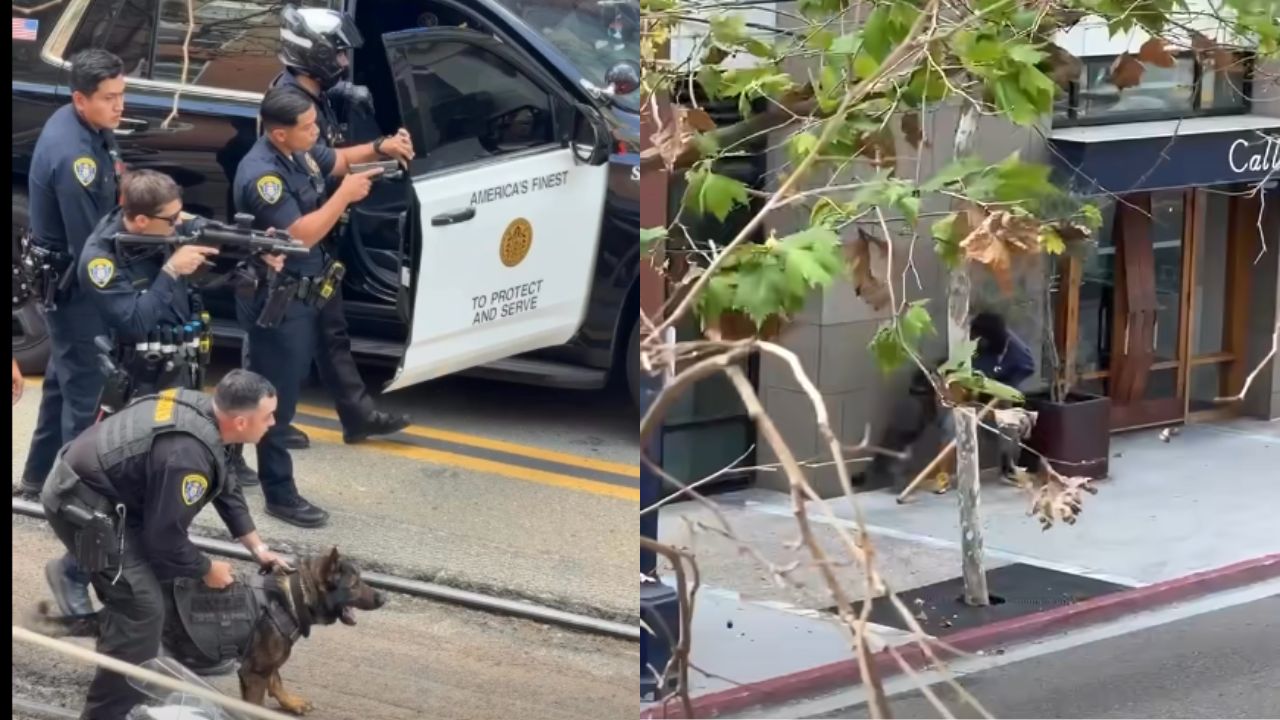 Imagen de ¡Héroe de cuatro patas! Perro policía neutraliza a delincuente en operativo