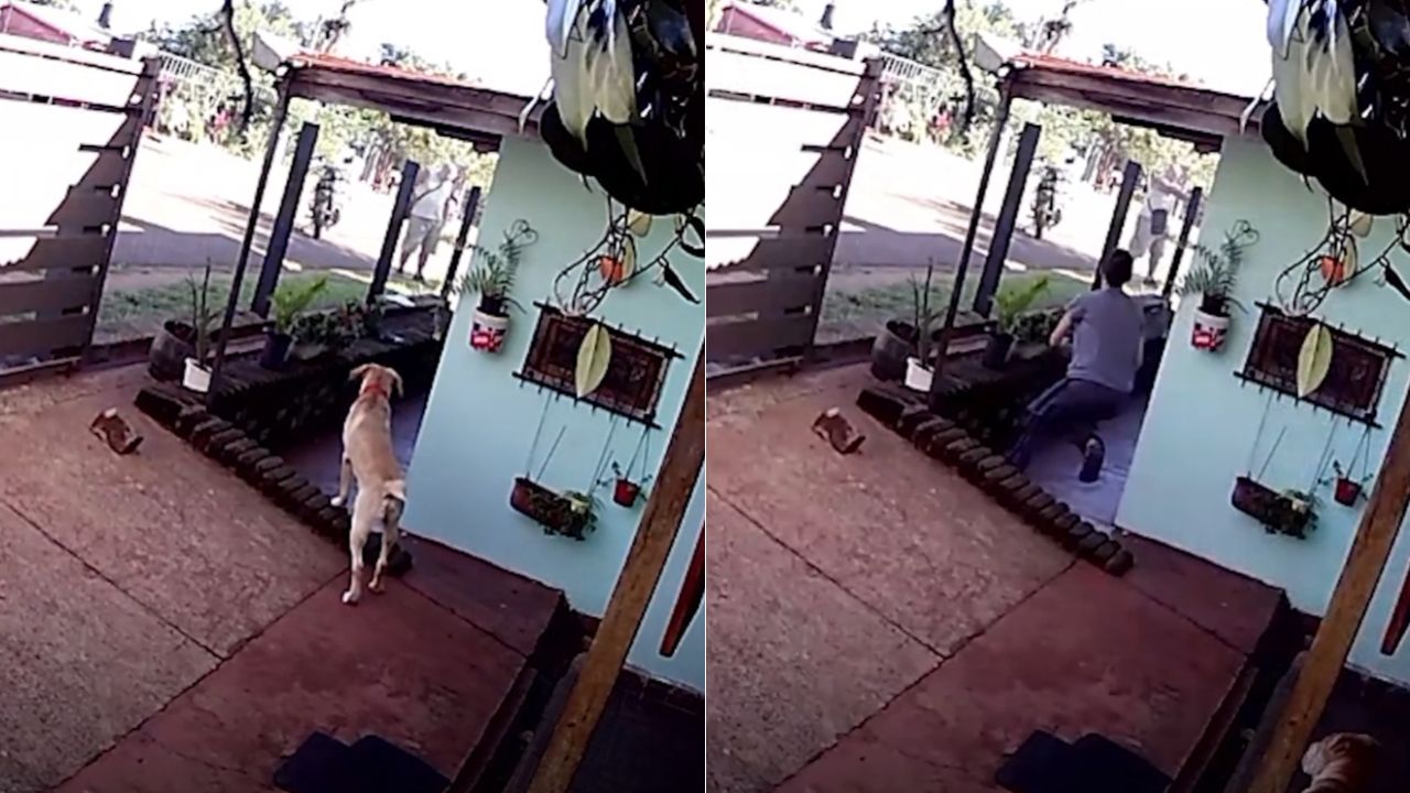 Imagen de Video captó momento en que prestamista mató a mecánico por una deuda