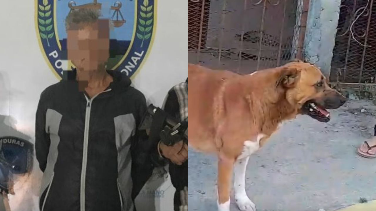 Imagen de Avanza la justicia: acusan formalmente al hombre que apuñaló a Toto en Copán