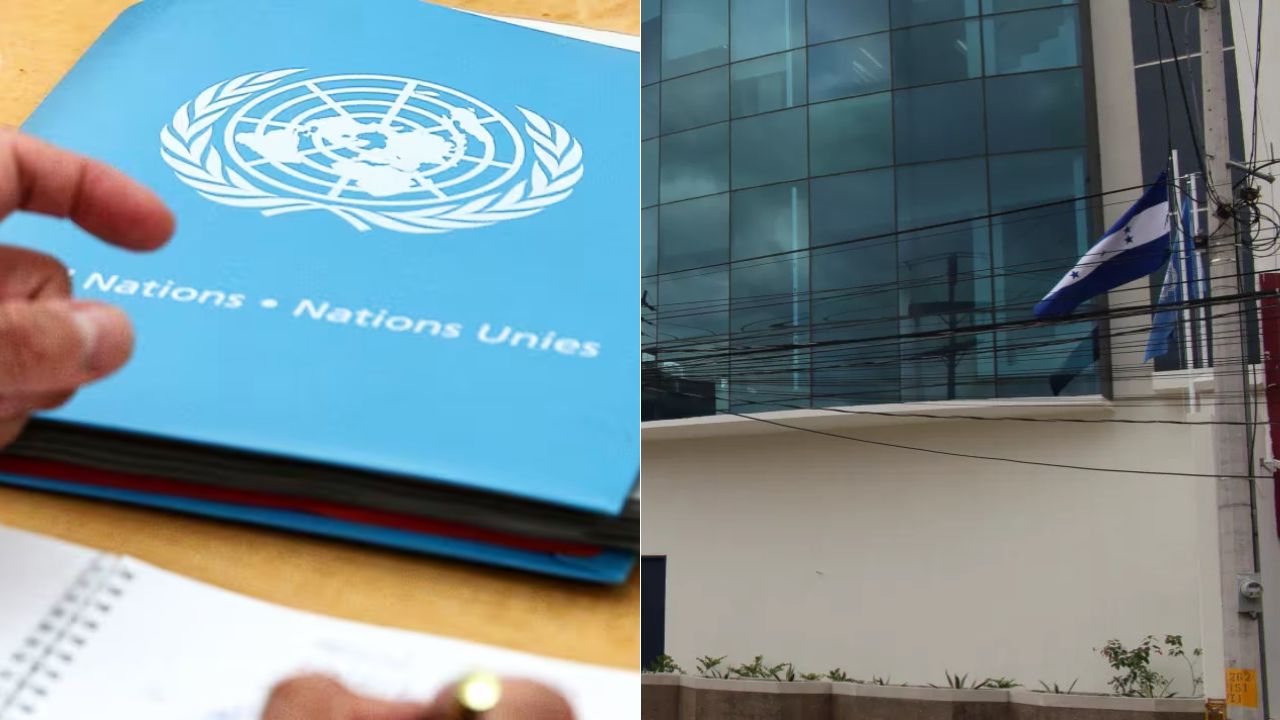 Imagen de ONU anuncia vacantes para hondureños en abril de 2026: plazas y dónde aplicar