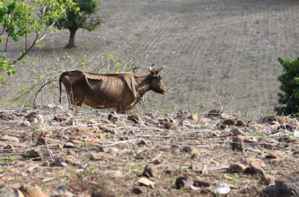 Lugar donde se ve el clima