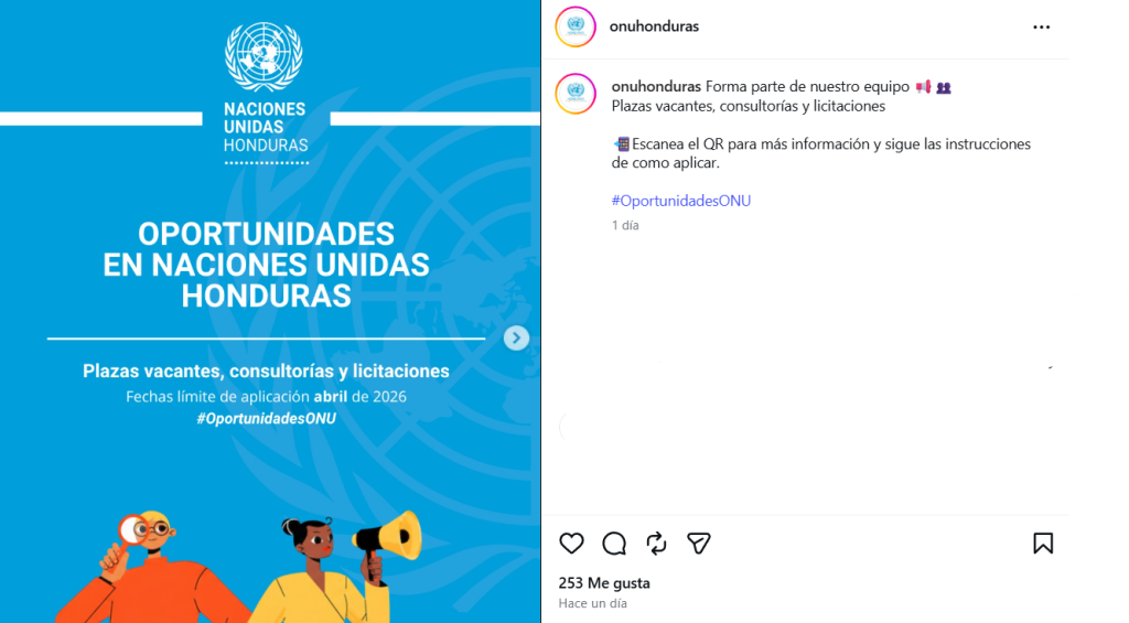 Publicación de la ONU sobre vacantes