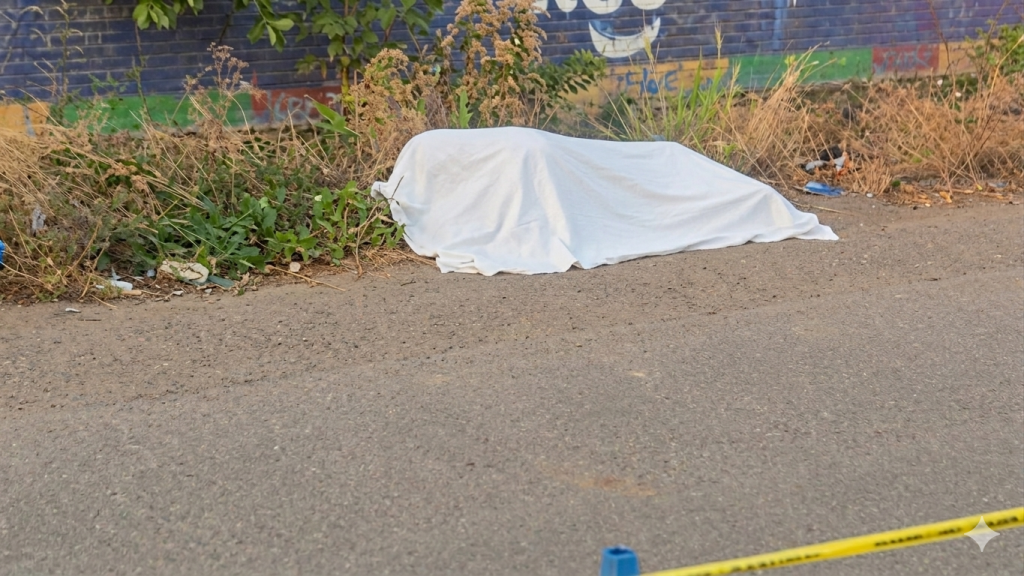 Imagen de cuerpo de nota