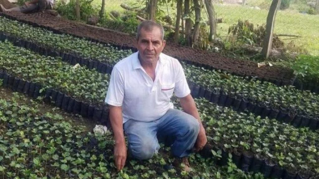 Imagen de cuerpo de nota