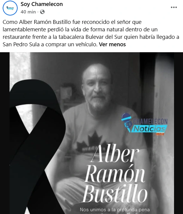 Captura de pantalla de la publicación