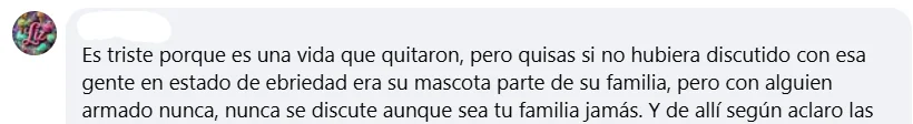 Captura de pantalla del comentario