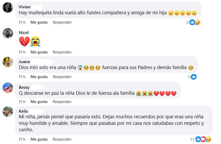 Captura de pantalla de los comentarios