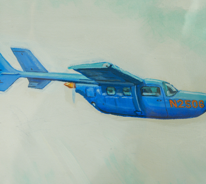 Dibujo de avioneta derribada