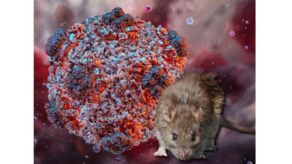 Imagen de referencia de hantavirus.