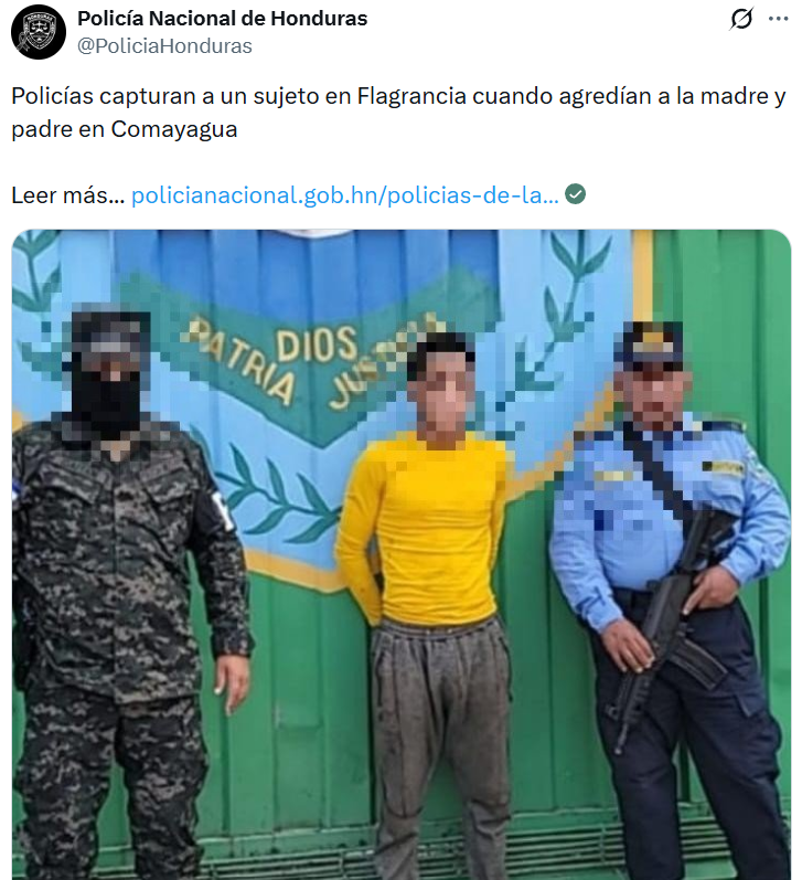 Captura de pantalla de la publicación