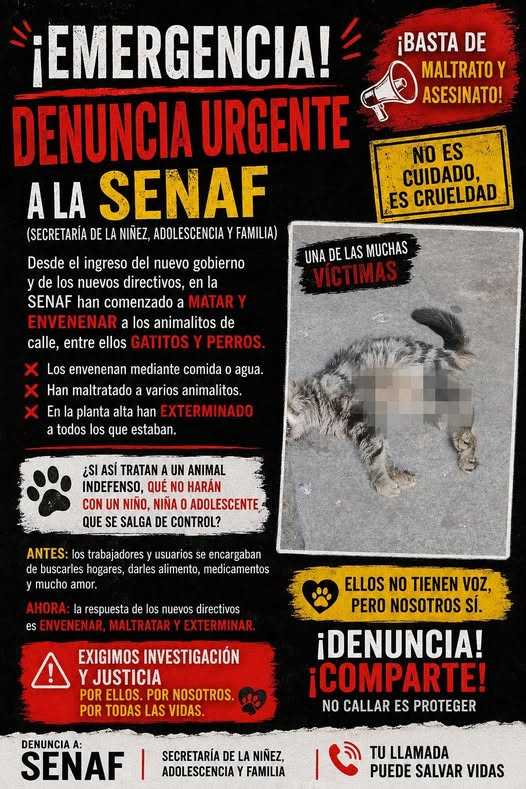 Publicación que circula en redes sociales sobre el presunto maltrato a perros y gatos en instalaciones de la Senaf.
