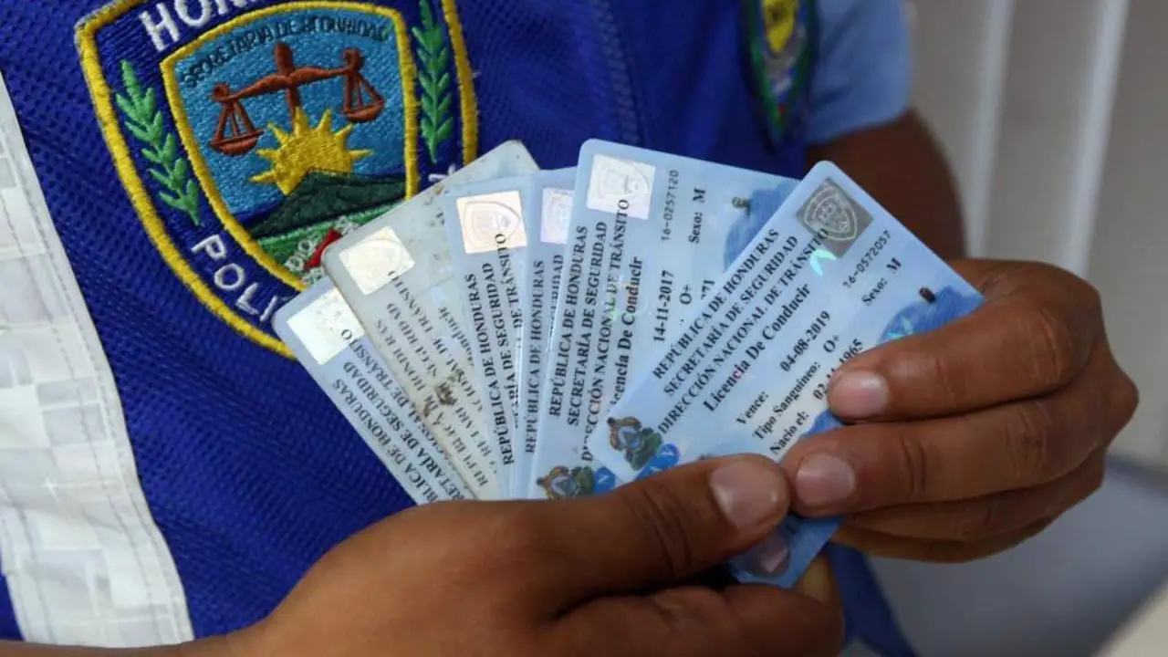 Licencias de conducir