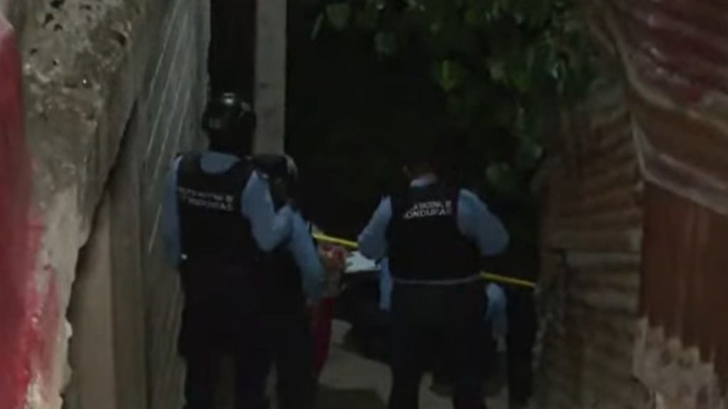 Imagen de cuerpo de nota