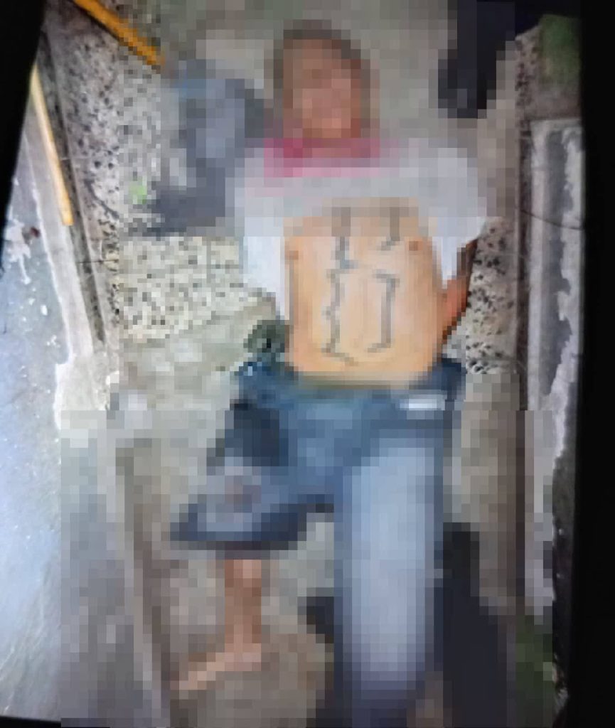 Imagen de cuerpo de nota