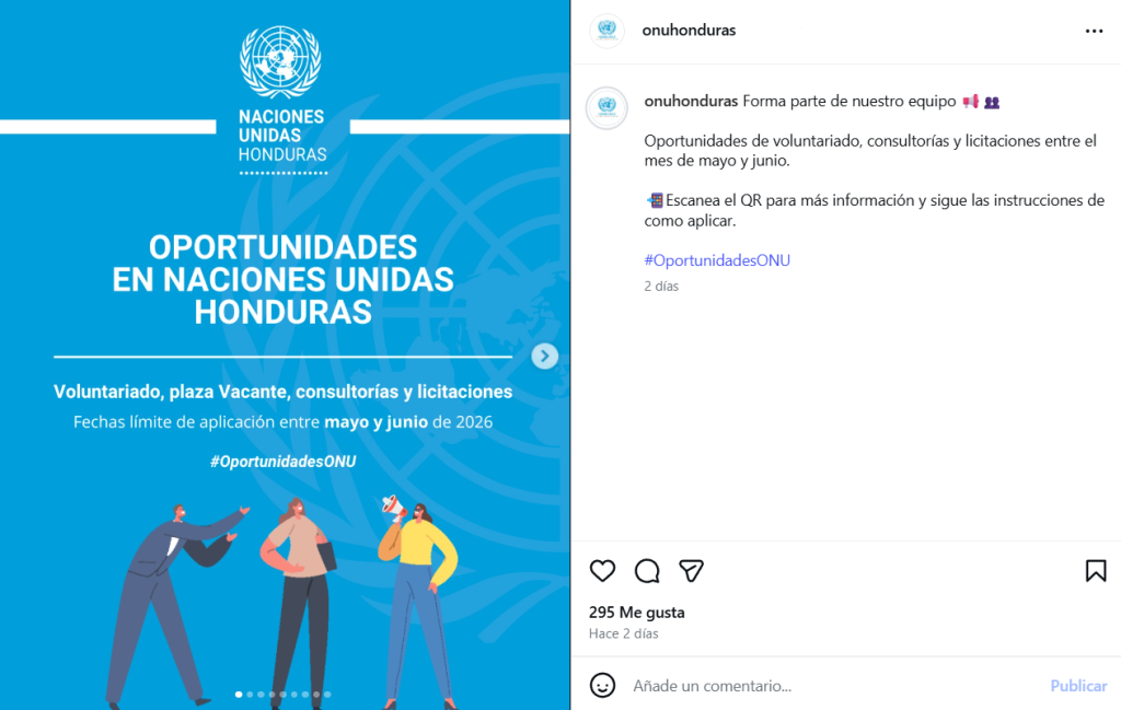 Captura de pantalla sobre las plazas de trabajo de la ONU