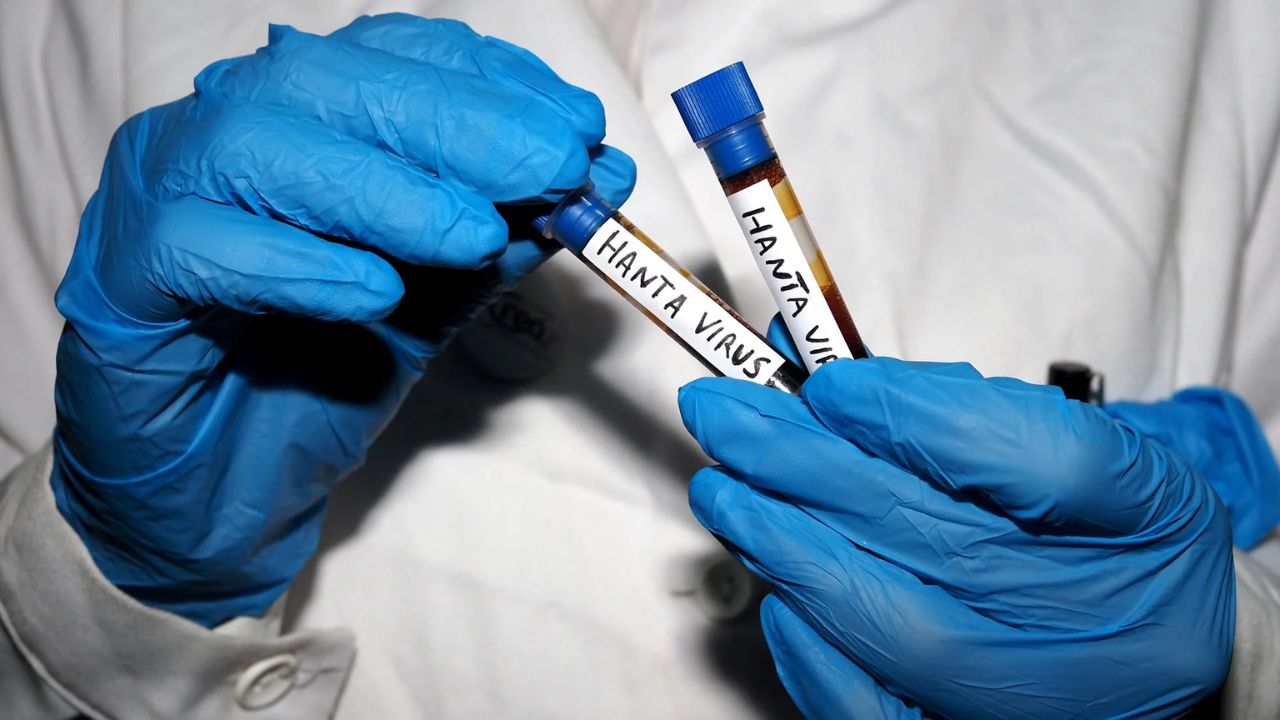 Imagen de EEUU confirma muerte por hantavirus y descarta vínculo con crucero MV Hondius