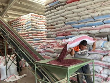 Imagen de Frijoles dañados en el IHMA habrían alimentado a 1.6 millones de hondureños