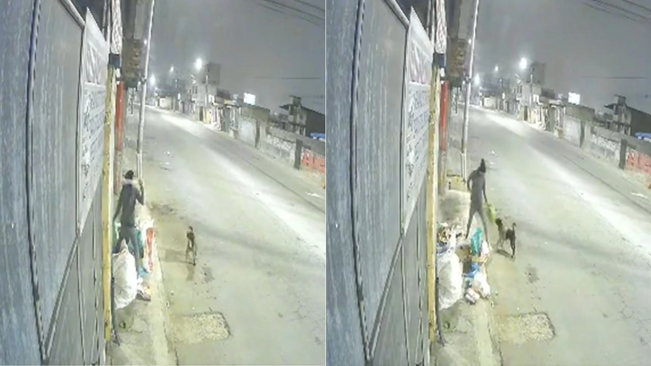 VIDEO: Hombre es atacado a machetazos cuando dormía en la calle con su perro Imagen principal de VIDEO: Hombre es atacado a machetazos cuando dormía en la calle con su perro
