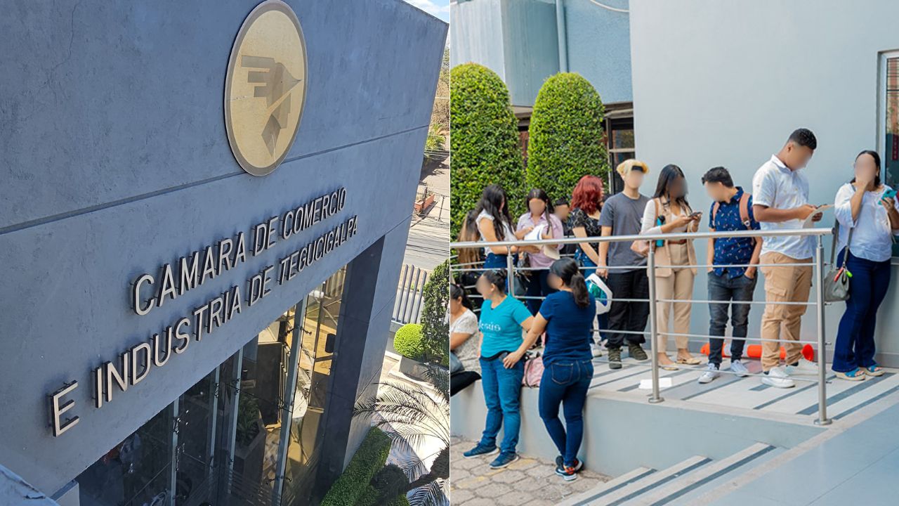 Imagen de ¿Busca empleo? Anuncian jornada de entrevistas con más de 45 plazas disponibles