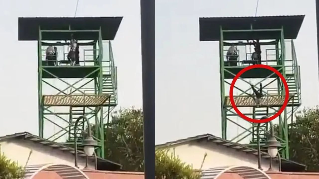 Imagen de Revelan video del momento en que menor murió frente a su familia tras caer de tirolesa