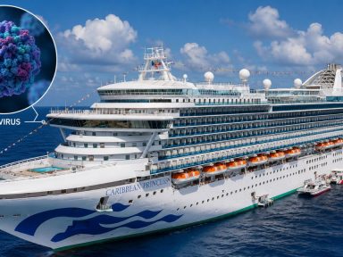 Imagen de ¡Nuevo virus a bordo! Reportan brote de norovirus en otro crucero