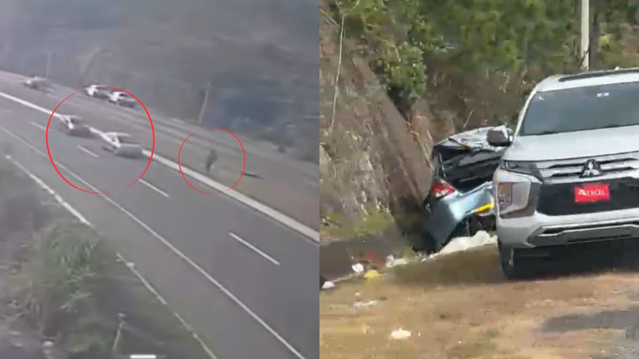 Imagen de Vídeo | Cortesía salió mal: peatón fue atropellado cuando intentaba cruzar la CA-5