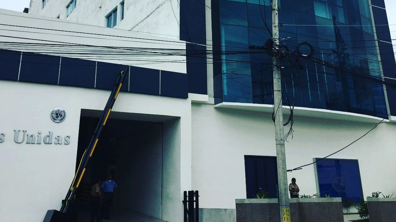 Imagen de ONU Honduras ofrece nueva plaza y más oportunidades: conozca fechas y dónde aplicar