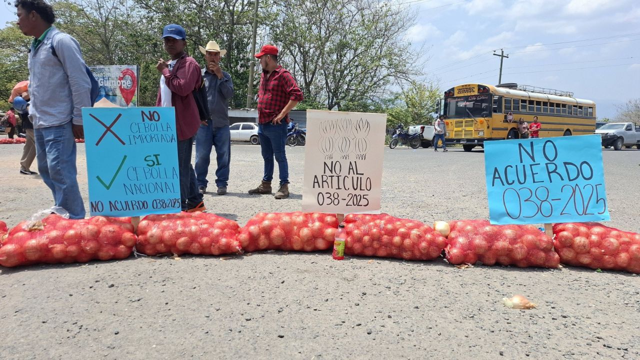 Imagen de Productores de cebolla logran acuerdo con el Gobierno tras protestas en El Zamorano