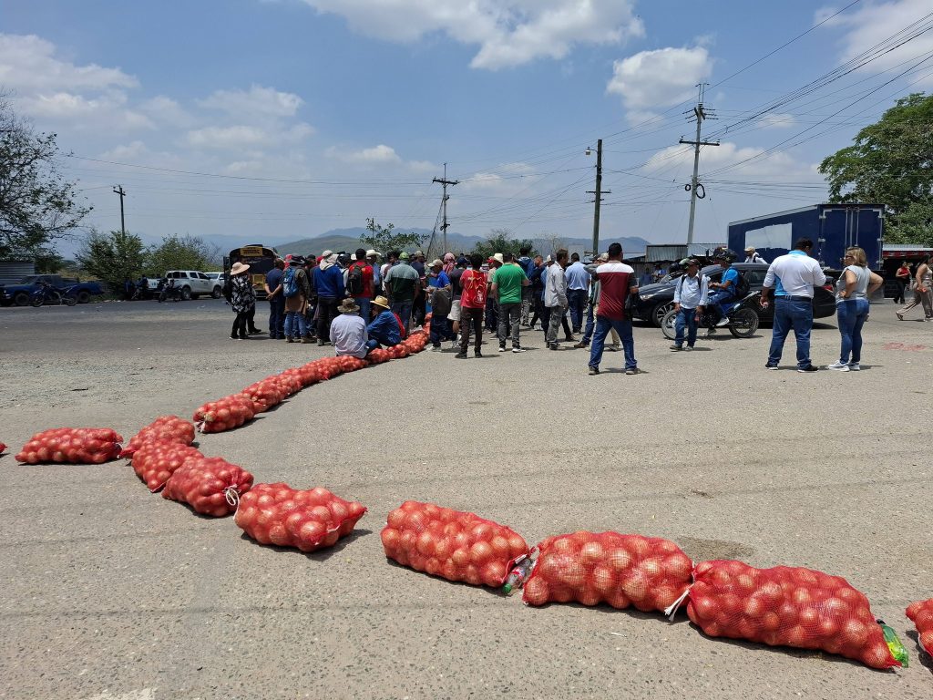 Protesta de productores de cebolla. 
