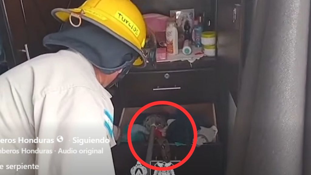 Imagen de cuerpo de nota