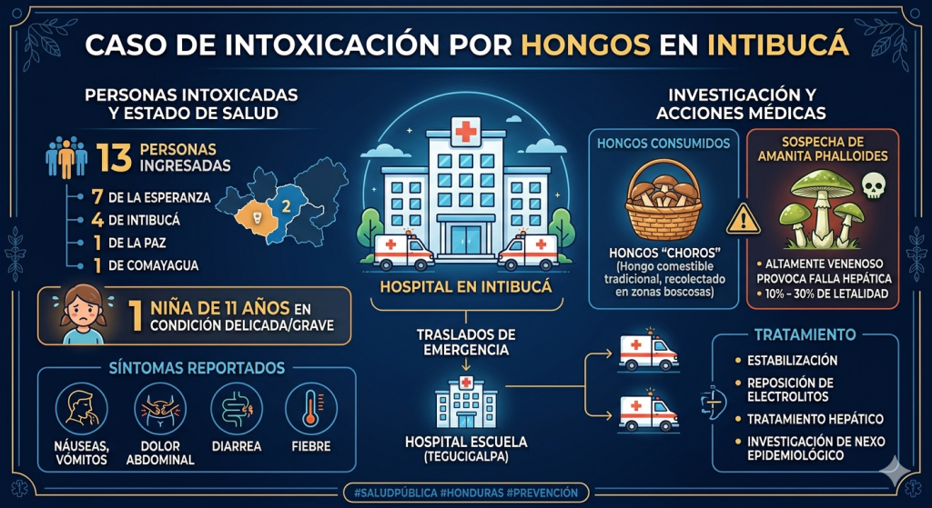 Detalle de los casos de las personas intoxicadas por comer hongos.