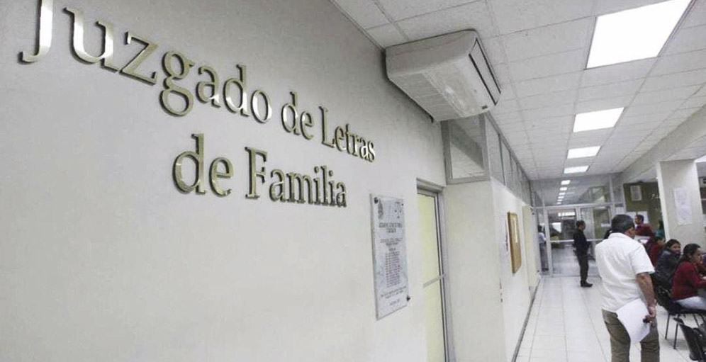  Juzgado de Letras de Familia.