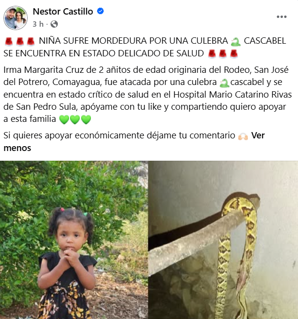 Captura de pantalla de la publicación