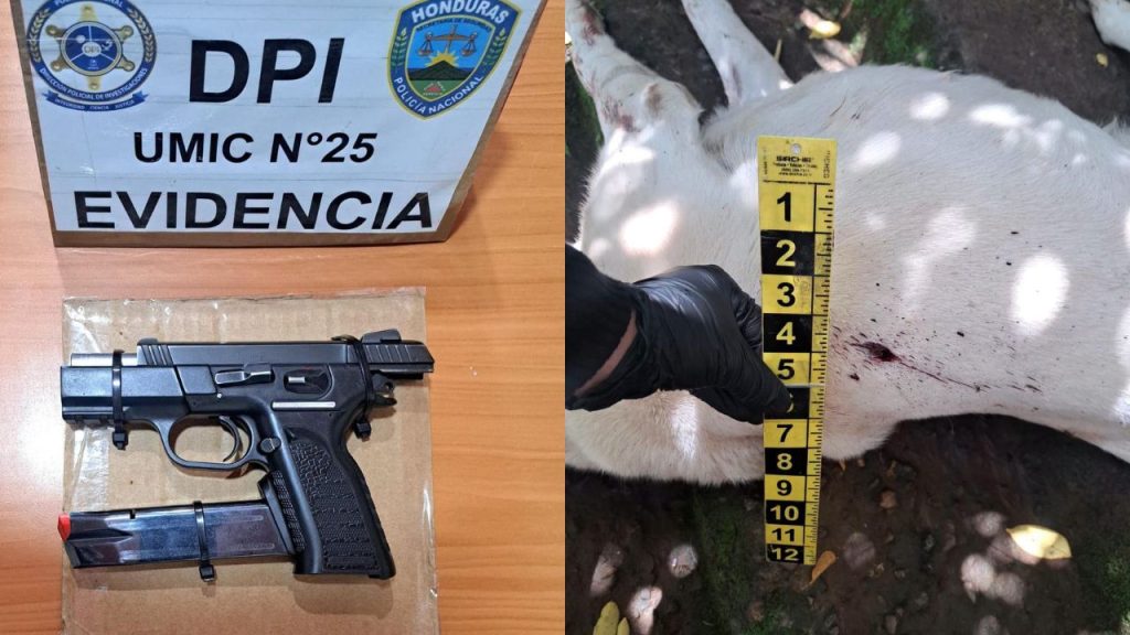 Imagen de cuerpo de nota