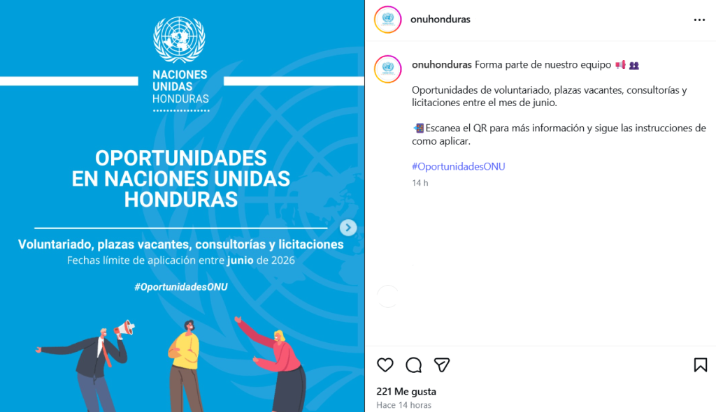 Captura de pantalla de la publicación