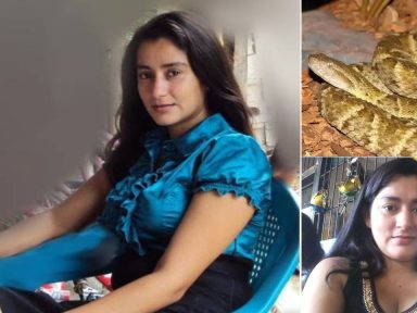 Imagen de Revelan video de Darling, madre que murió al ser mordida por barba amarilla en Cortés