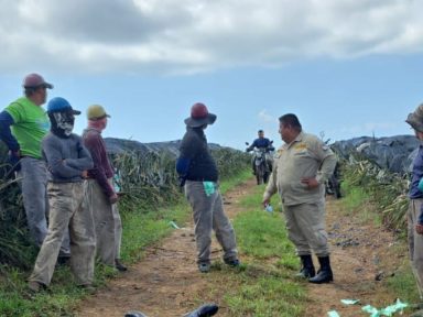 Imagen de Lo fulminó: rayo le quita la vida a trabajador de una finca en Atlántida