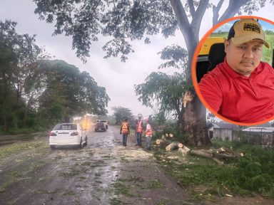 Imagen de Hombre muere tras ser golpeado por una pesada rama en El Progreso