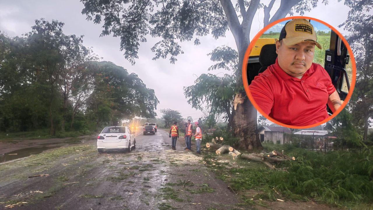Hombre muere tras ser golpeado por una pesada rama en El Progreso Imagen principal de Hombre muere tras ser golpeado por una pesada rama en El Progreso