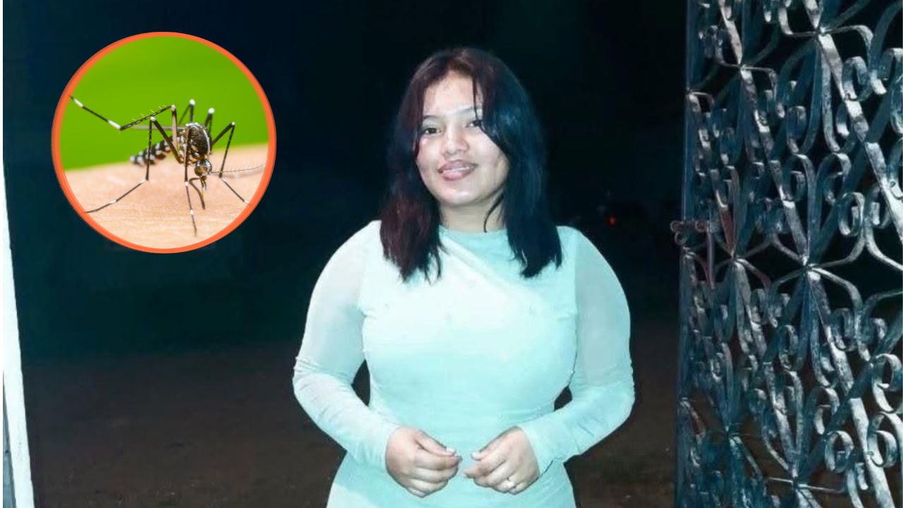 Joven de 22 años muere por presunto dengue hemorrágico en Olancho Imagen principal de Joven de 22 años muere por presunto dengue hemorrágico en Olancho